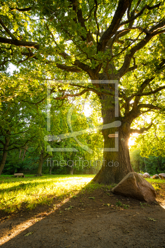 frei w&auml;hlbarer Bildausschnitt f&uuml;r Ihr Bild auf Kissen