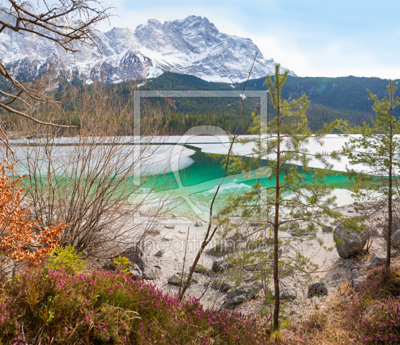 frei w&auml;hlbarer Bildausschnitt f&uuml;r Ihr Bild auf Kissen