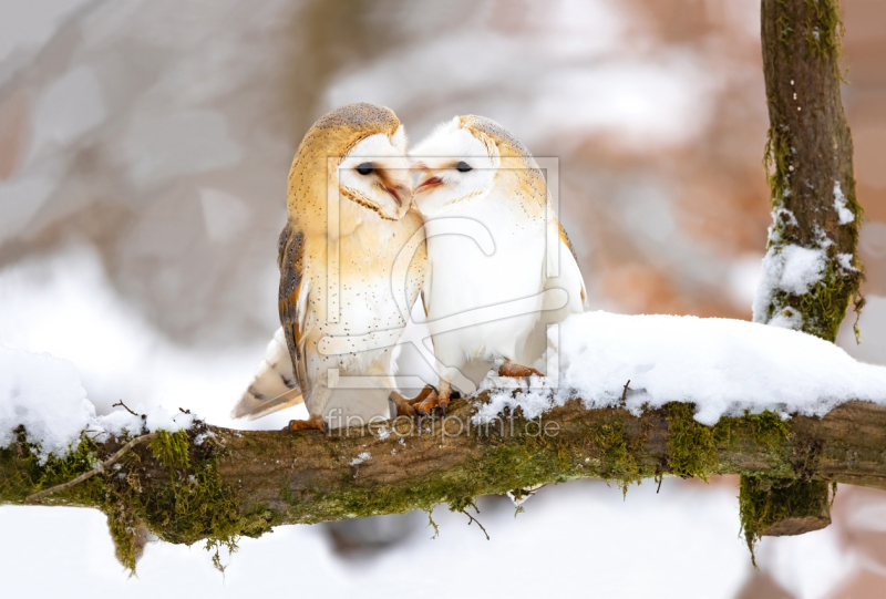 frei w&auml;hlbarer Bildausschnitt f&uuml;r Ihr Bild auf Kissen