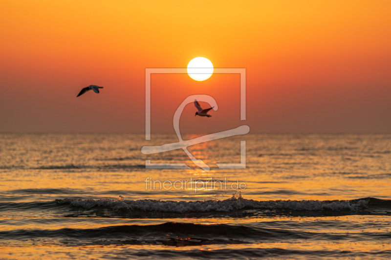 frei w&auml;hlbarer Bildausschnitt f&uuml;r Ihr Bild auf Kissen