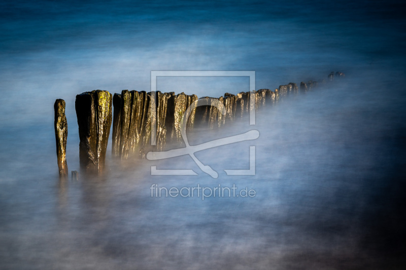 frei w&auml;hlbarer Bildausschnitt f&uuml;r Ihr Bild auf Kissen