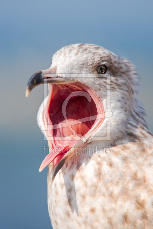 frei wählbarer Bildausschnitt für Ihr Bild auf Kissen