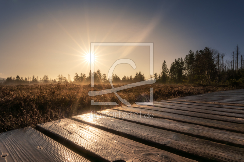 frei w&auml;hlbarer Bildausschnitt f&uuml;r Ihr Bild auf Kissen