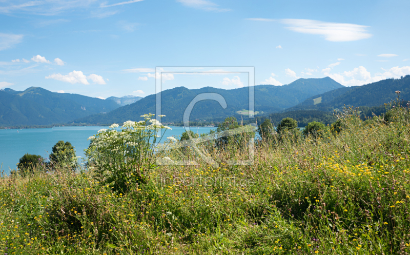 frei w&auml;hlbarer Bildausschnitt f&uuml;r Ihr Bild auf Kissen