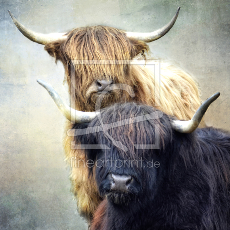 frei w&auml;hlbarer Bildausschnitt f&uuml;r Ihr Bild auf Kissen