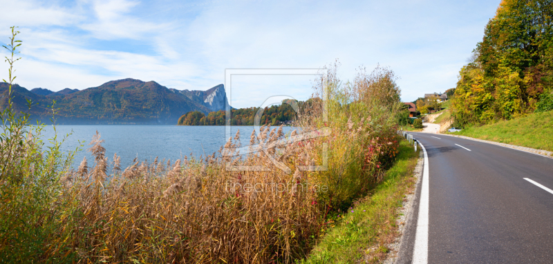 frei wählbarer Bildausschnitt für Ihr Bild auf Kissen