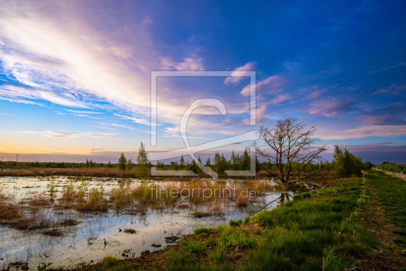 frei w&auml;hlbarer Bildausschnitt f&uuml;r Ihr Bild auf Kissen