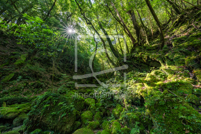 frei w&auml;hlbarer Bildausschnitt f&uuml;r Ihr Bild auf Kissen