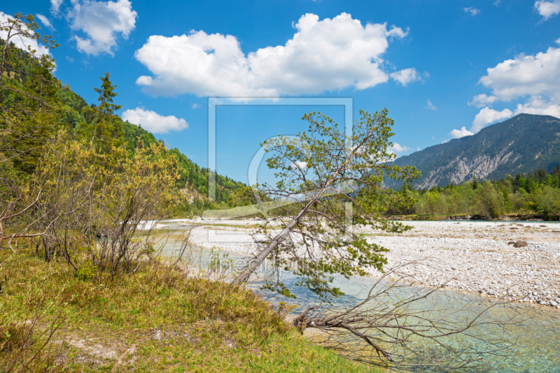 frei w&auml;hlbarer Bildausschnitt f&uuml;r Ihr Bild auf Kissen