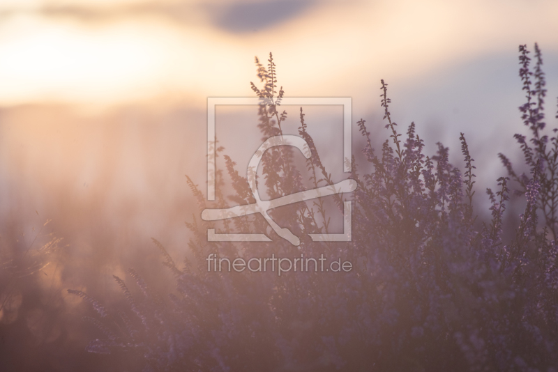 frei w&auml;hlbarer Bildausschnitt f&uuml;r Ihr Bild auf Kissen