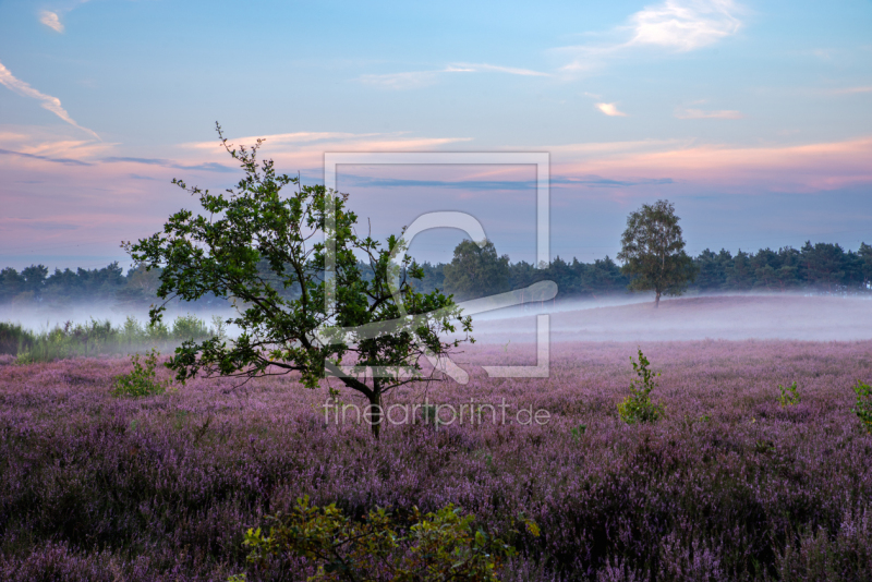 frei w&auml;hlbarer Bildausschnitt f&uuml;r Ihr Bild auf Kissen
