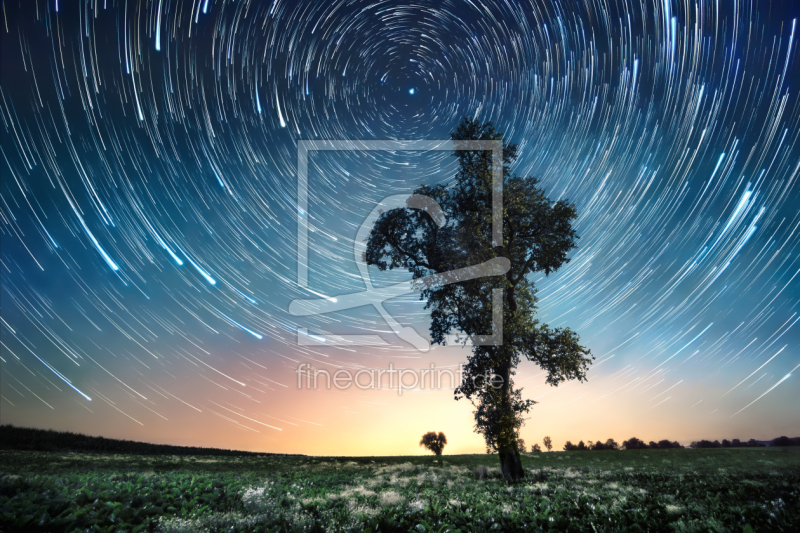 frei w&auml;hlbarer Bildausschnitt f&uuml;r Ihr Bild auf Kissen