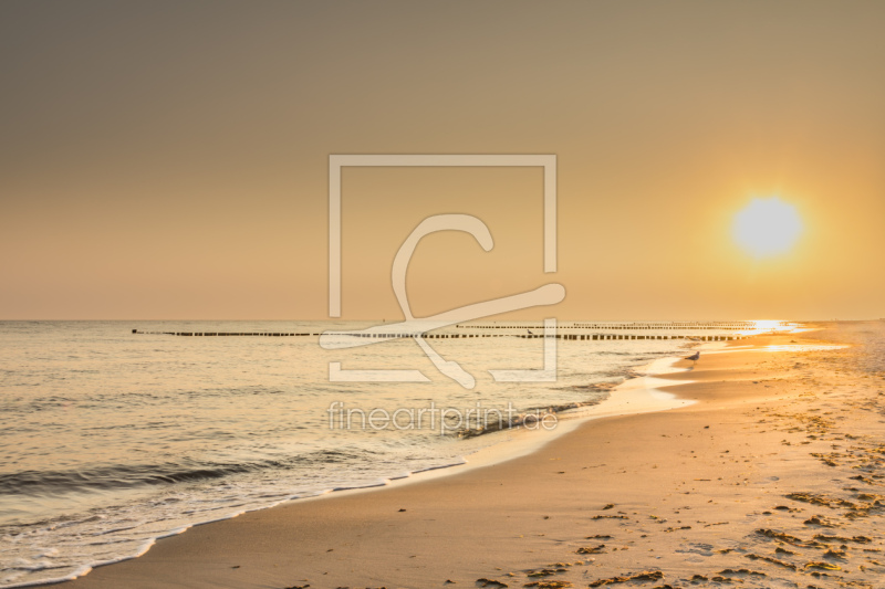 frei w&auml;hlbarer Bildausschnitt f&uuml;r Ihr Bild auf Kissen