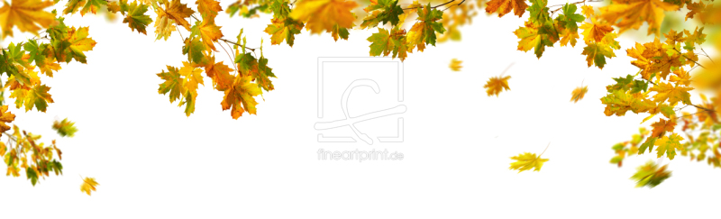 frei w&auml;hlbarer Bildausschnitt f&uuml;r Ihr Bild auf Kissen