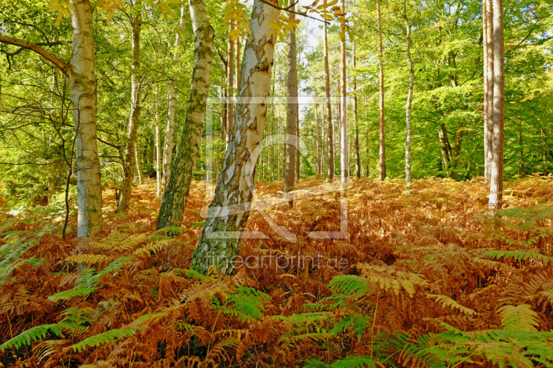 frei w&auml;hlbarer Bildausschnitt f&uuml;r Ihr Bild auf Kissen