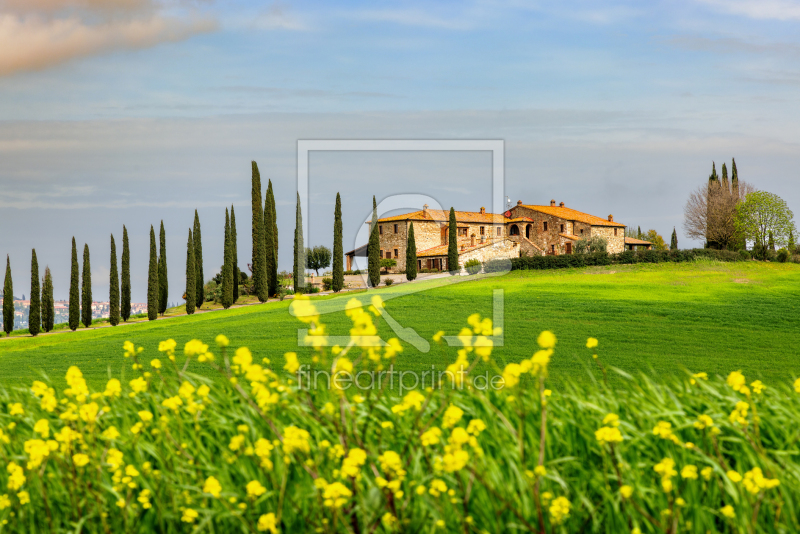frei w&auml;hlbarer Bildausschnitt f&uuml;r Ihr Bild auf Kissen