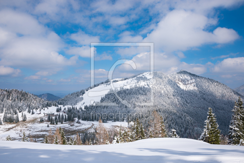 frei w&auml;hlbarer Bildausschnitt f&uuml;r Ihr Bild auf Kissen