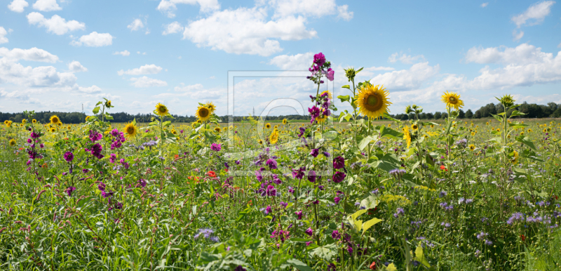frei w&auml;hlbarer Bildausschnitt f&uuml;r Ihr Bild auf Kissen