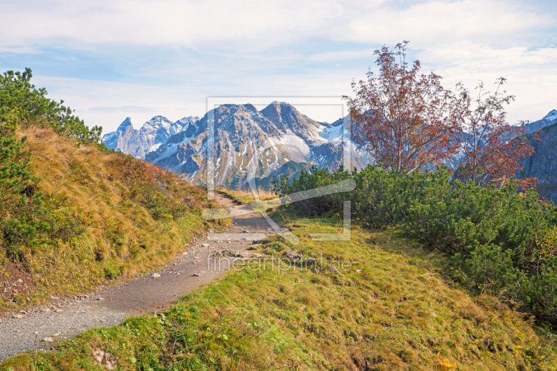 frei w&auml;hlbarer Bildausschnitt f&uuml;r Ihr Bild auf Kissen