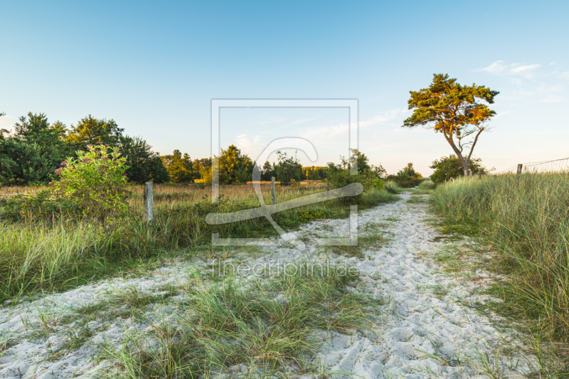 frei w&auml;hlbarer Bildausschnitt f&uuml;r Ihr Bild auf Kissen