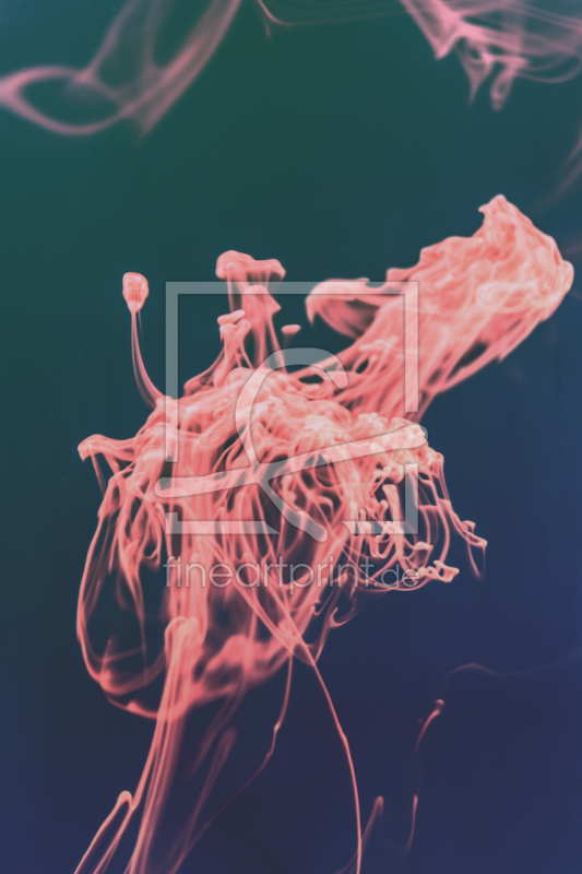 frei w&auml;hlbarer Bildausschnitt f&uuml;r Ihr Bild auf Kissen