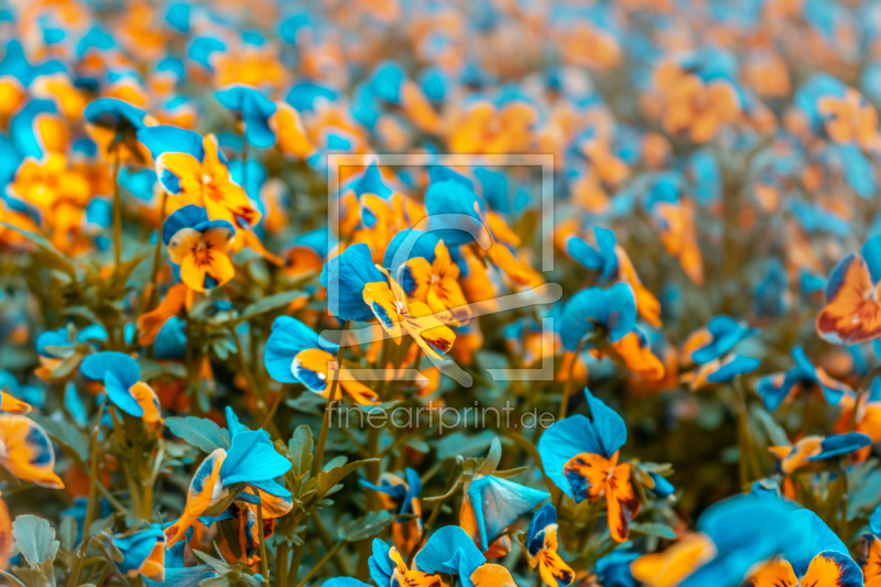 frei w&auml;hlbarer Bildausschnitt f&uuml;r Ihr Bild auf Kissen