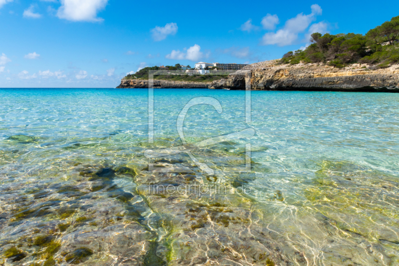 frei w&auml;hlbarer Bildausschnitt f&uuml;r Ihr Bild auf Kissen