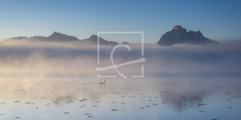 frei w&auml;hlbarer Bildausschnitt f&uuml;r Ihr Bild auf Kissen