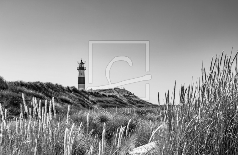 frei w&auml;hlbarer Bildausschnitt f&uuml;r Ihr Bild auf Kissen