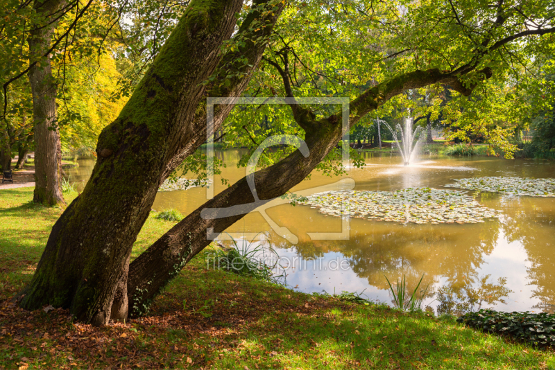 frei w&auml;hlbarer Bildausschnitt f&uuml;r Ihr Bild auf Kissen