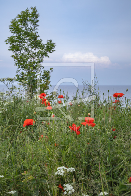 frei w&auml;hlbarer Bildausschnitt f&uuml;r Ihr Bild auf Kissen