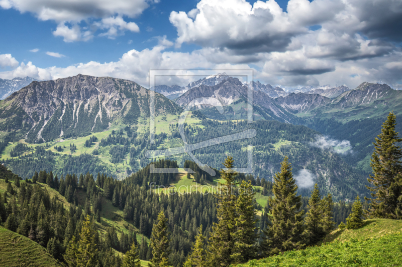 frei w&auml;hlbarer Bildausschnitt f&uuml;r Ihr Bild auf Kissen