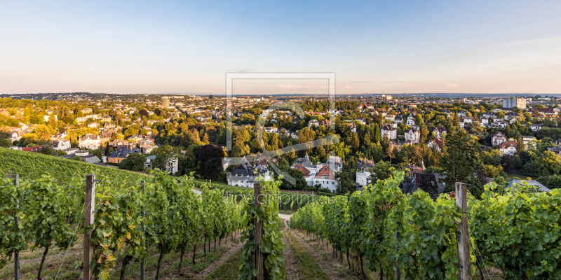 frei w&auml;hlbarer Bildausschnitt f&uuml;r Ihr Bild auf Kissen