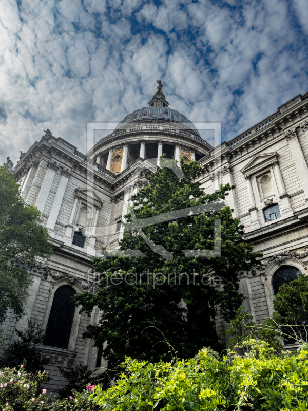 frei w&auml;hlbarer Bildausschnitt f&uuml;r Ihr Bild auf Kissen