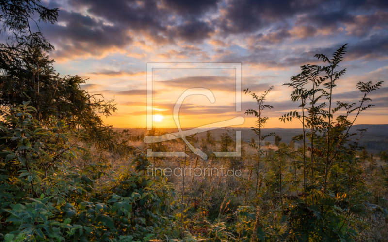frei w&auml;hlbarer Bildausschnitt f&uuml;r Ihr Bild auf Kissen