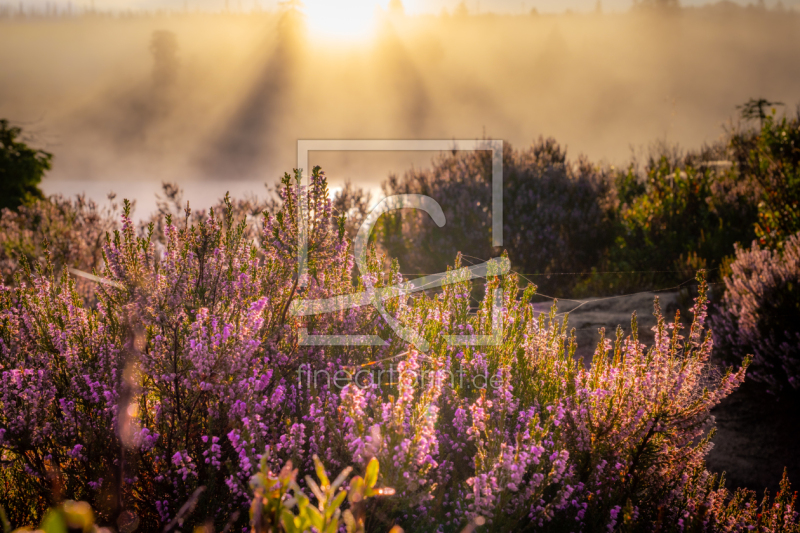 frei w&auml;hlbarer Bildausschnitt f&uuml;r Ihr Bild auf Kissen