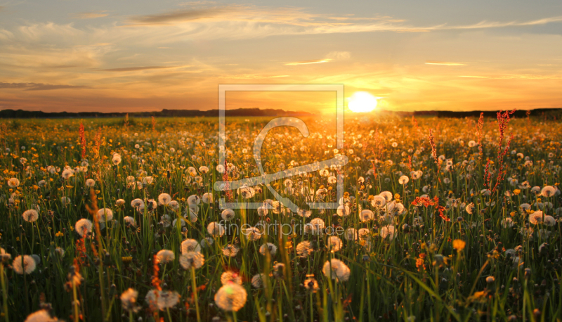 frei w&auml;hlbarer Bildausschnitt f&uuml;r Ihr Bild auf Kissen