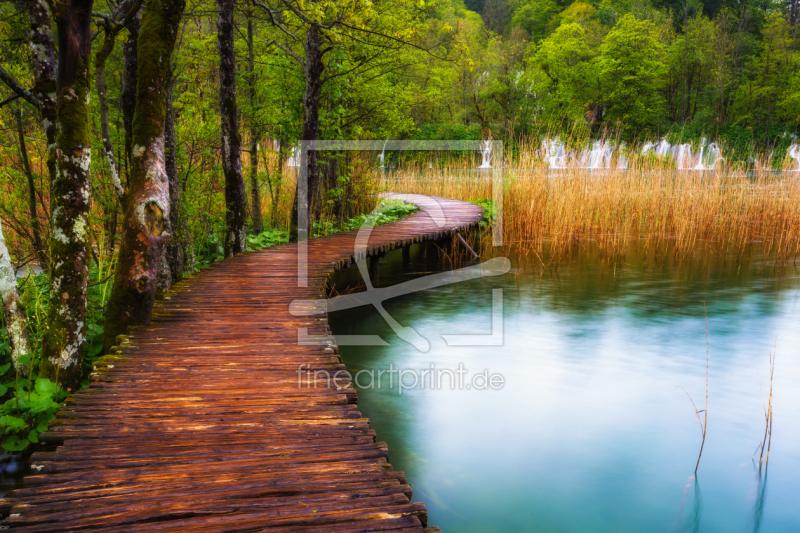 frei w&auml;hlbarer Bildausschnitt f&uuml;r Ihr Bild auf Kissen