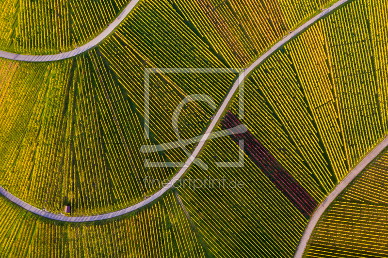 frei w&auml;hlbarer Bildausschnitt f&uuml;r Ihr Bild auf Kissen