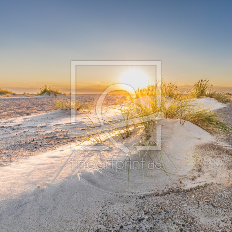 frei w&auml;hlbarer Bildausschnitt f&uuml;r Ihr Bild auf Kissen