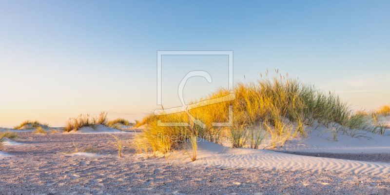 frei w&auml;hlbarer Bildausschnitt f&uuml;r Ihr Bild auf Kissen