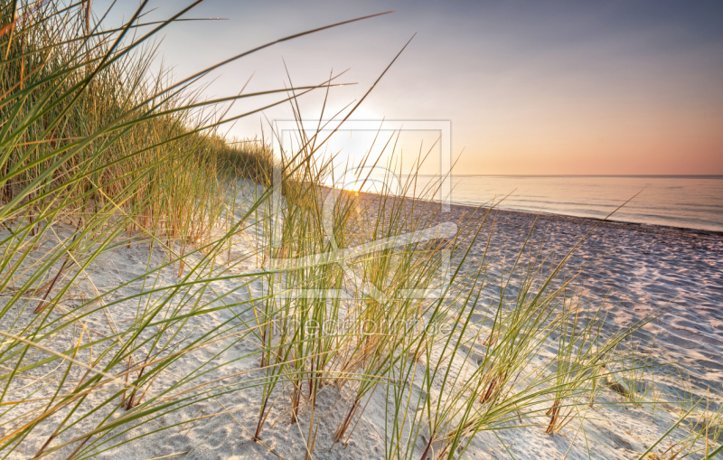 frei w&auml;hlbarer Bildausschnitt f&uuml;r Ihr Bild auf Kissen