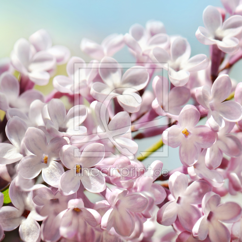 frei w&auml;hlbarer Bildausschnitt f&uuml;r Ihr Bild auf Kissen