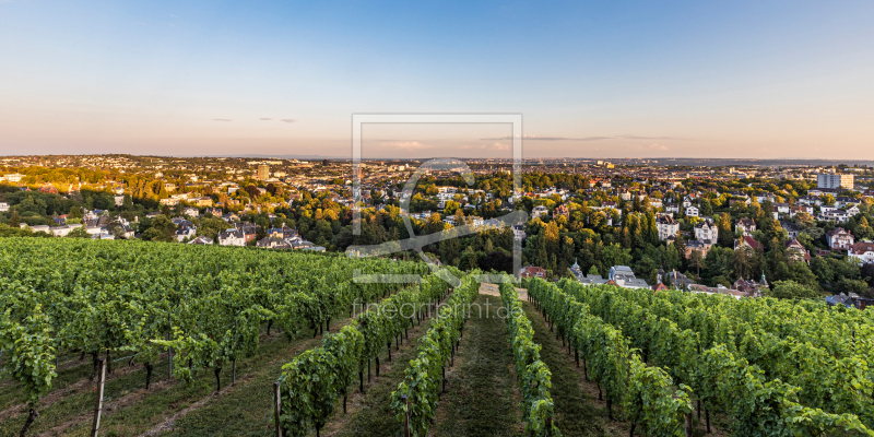 frei w&auml;hlbarer Bildausschnitt f&uuml;r Ihr Bild auf Kissen