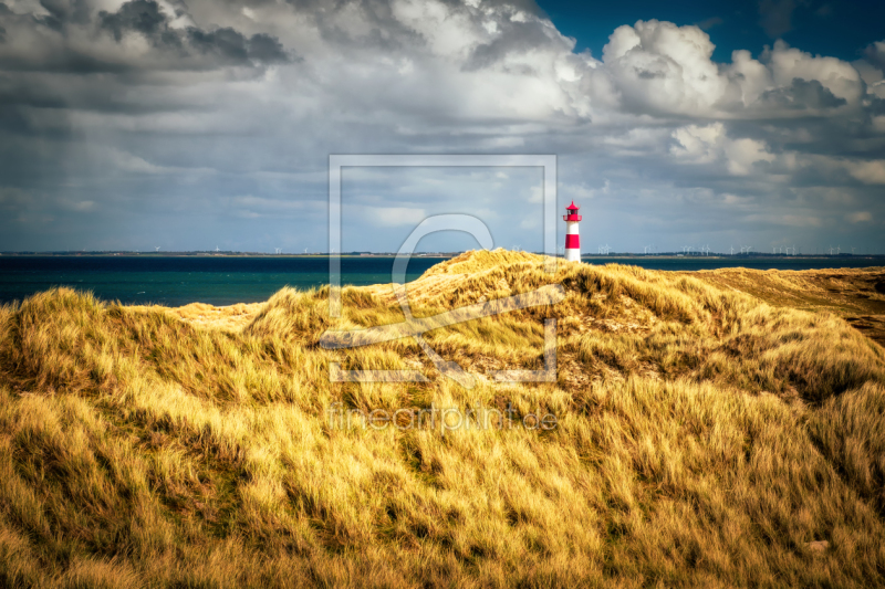 frei w&auml;hlbarer Bildausschnitt f&uuml;r Ihr Bild auf Kissen
