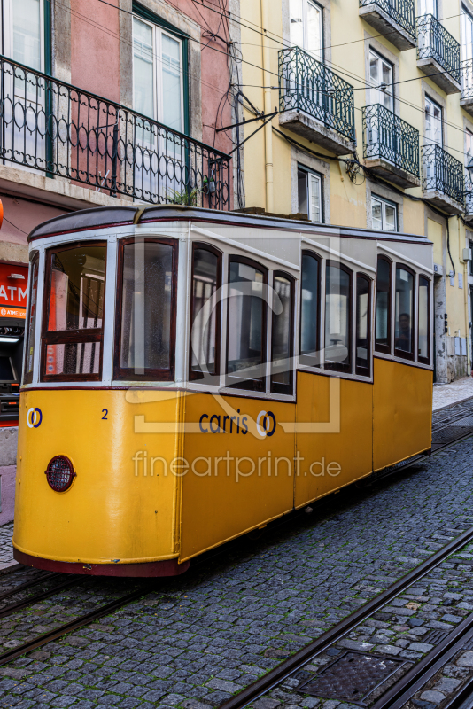 frei w&auml;hlbarer Bildausschnitt f&uuml;r Ihr Bild auf Kissen