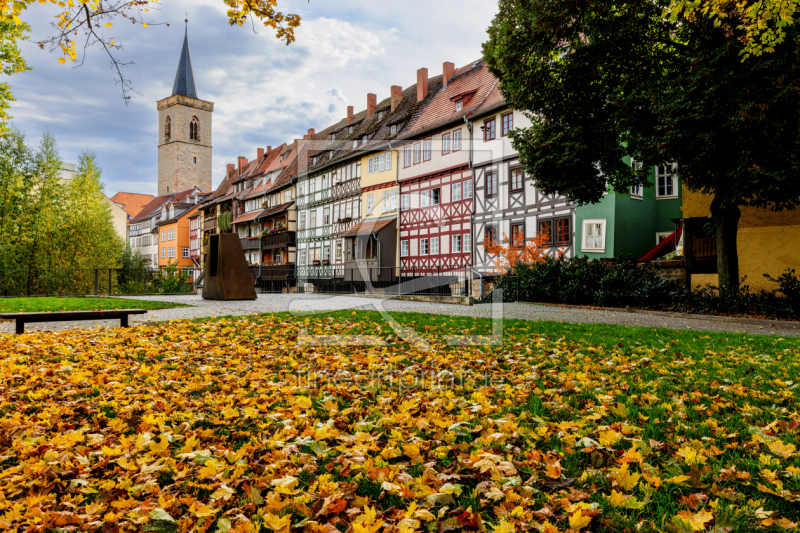 frei w&auml;hlbarer Bildausschnitt f&uuml;r Ihr Bild auf Kissen