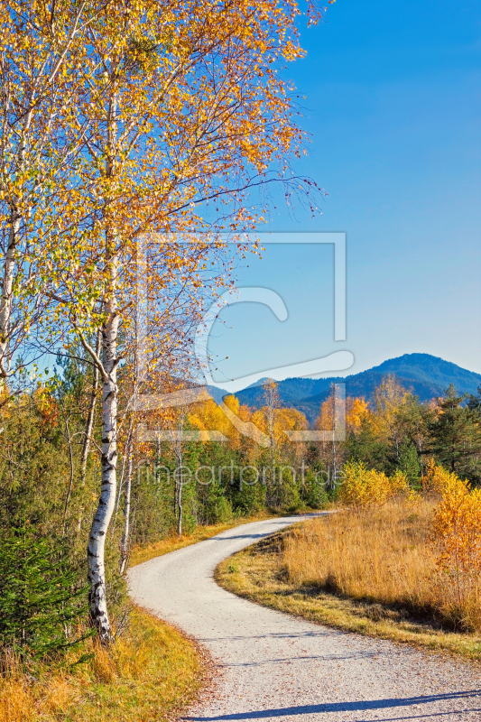 frei w&auml;hlbarer Bildausschnitt f&uuml;r Ihr Bild auf Kissen