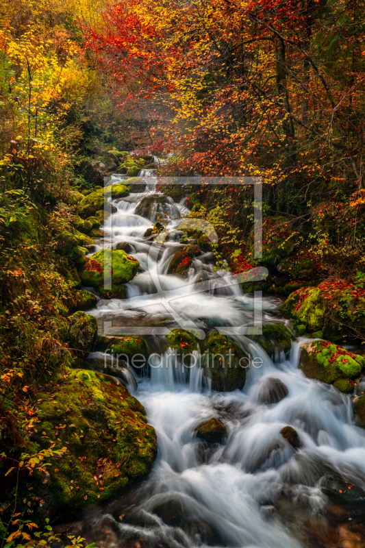 frei w&auml;hlbarer Bildausschnitt f&uuml;r Ihr Bild auf Kissen