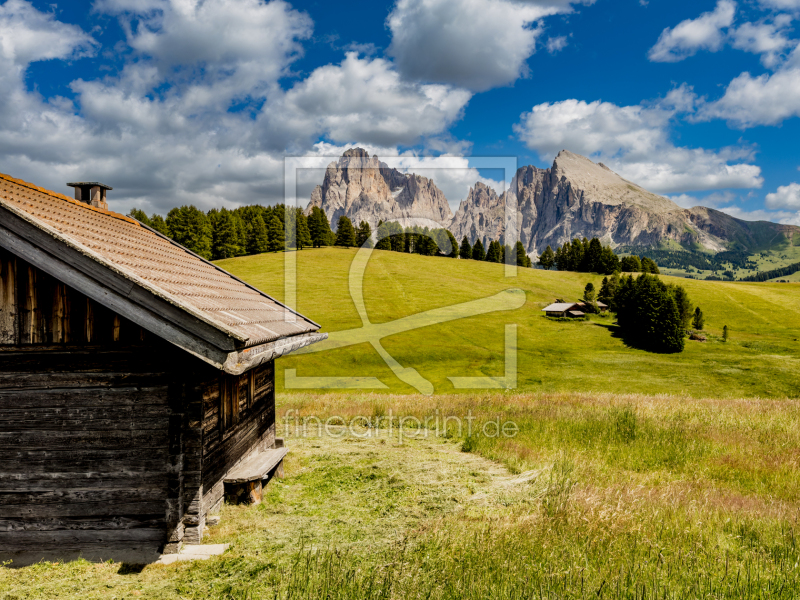 frei w&auml;hlbarer Bildausschnitt f&uuml;r Ihr Bild auf Kissen